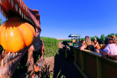 Gallery - Spina Farms Pumpkin Patch