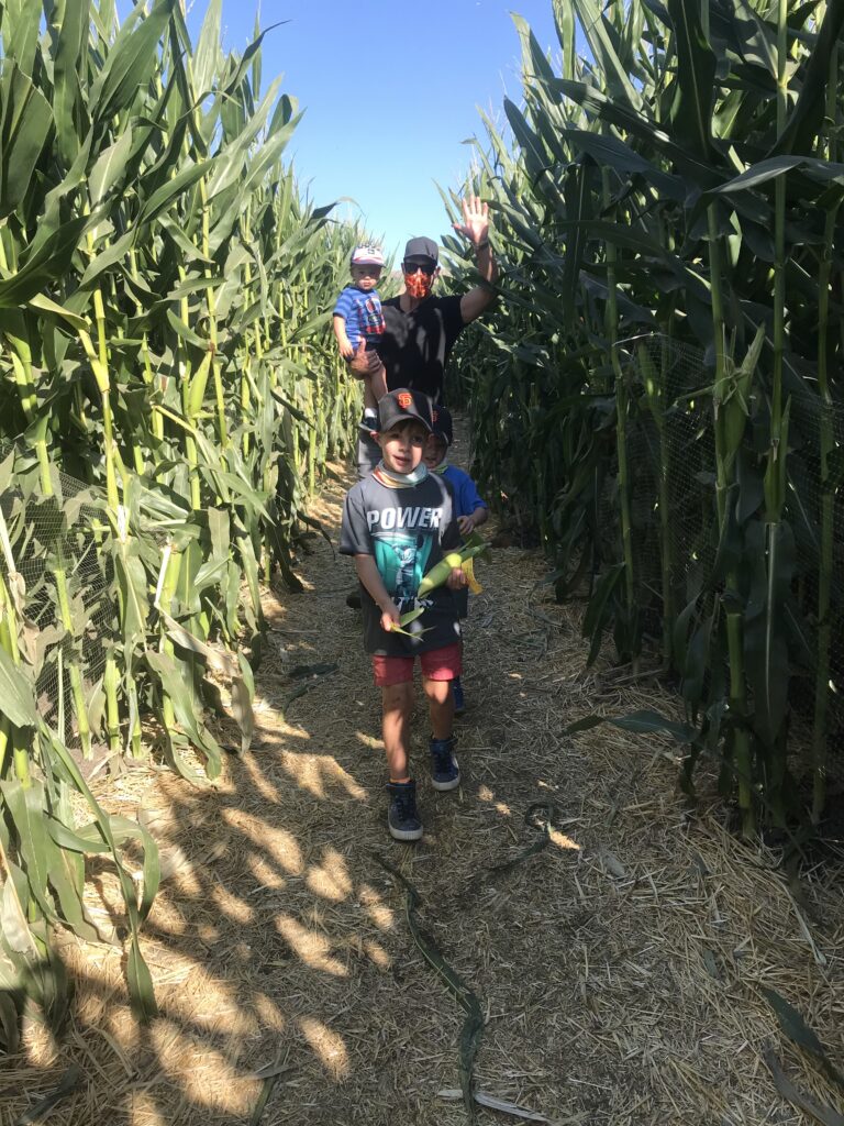 Kids in the corn field