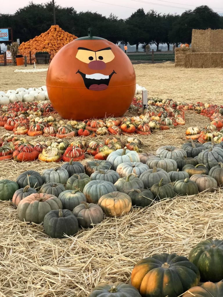 Smiley pumpkin