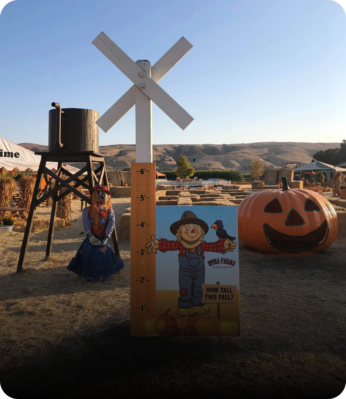 Pumpkins Attraction