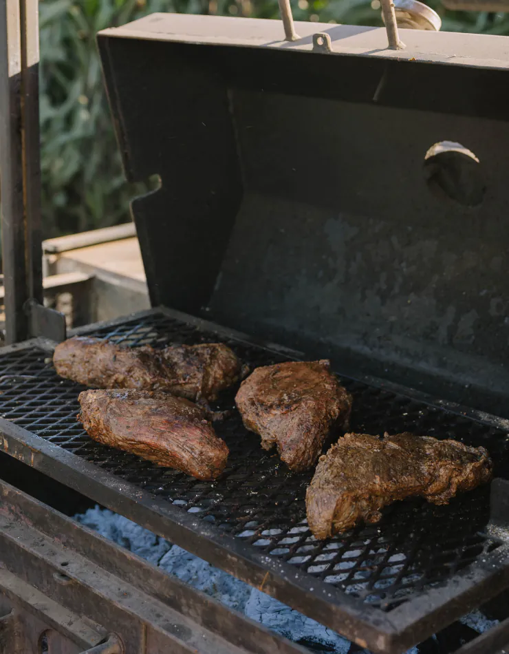 Carnivore 2
