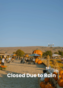 Close Due To Rain