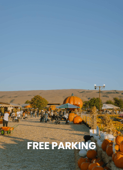 Free Parking