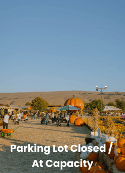 Parking Lot Closed